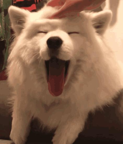 多个区间统计的方法和技巧,区间统计的使用方法和技巧