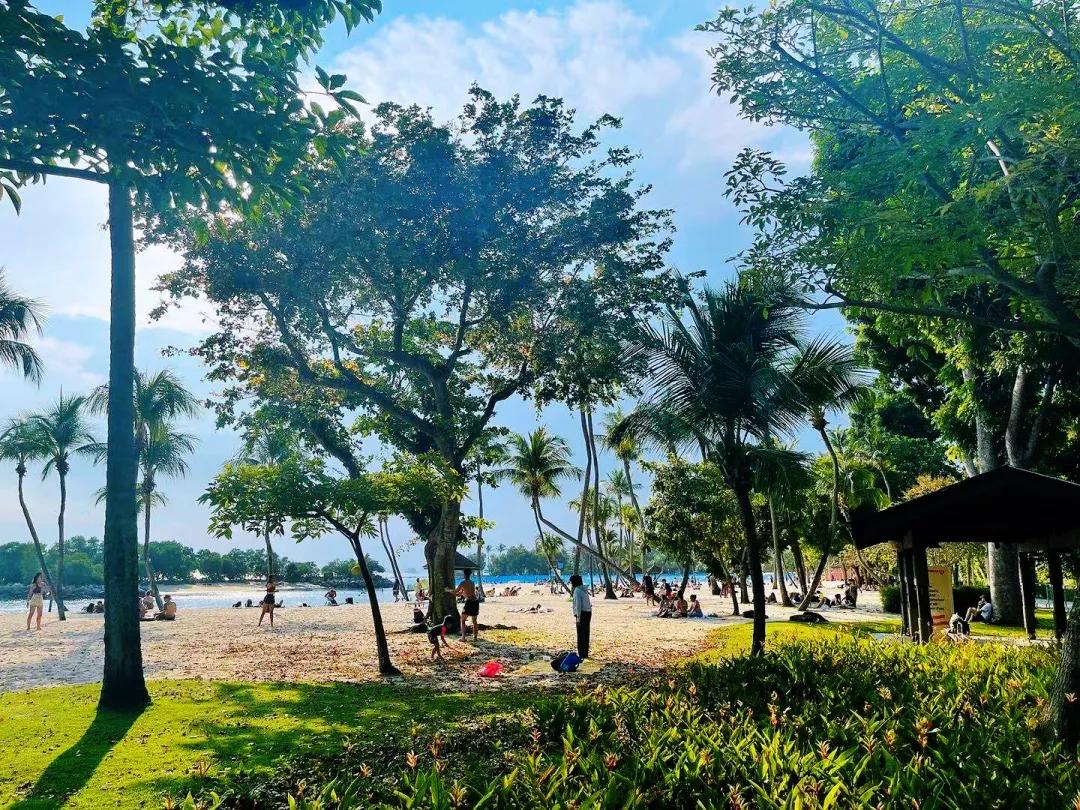 留学新加坡统计专业必备条件,nus统计学硕士课程