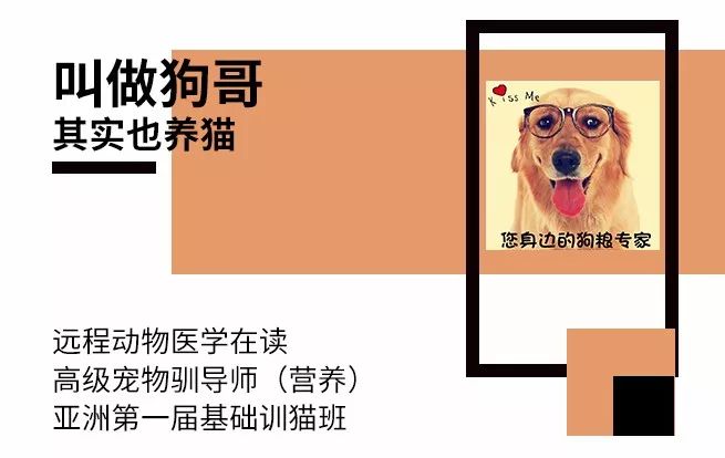 进口过期狗粮,进口猫粮过期了还能吃吗