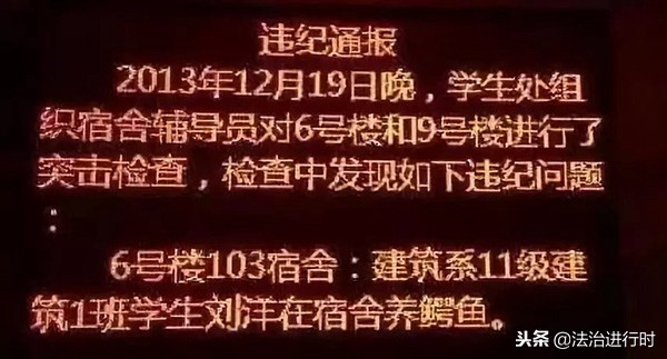大学宿舍养猪被通报,宿舍养猪被学校批评