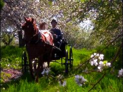 绿山墙的安妮中的绿山墙是什么,绿山墙的安妮内容简介