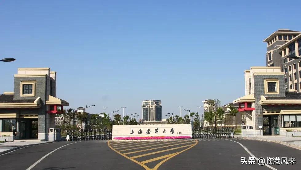 上海有值得一逛的大学吗,上海各大学最适合参观的校区