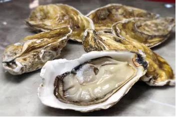 厦门10人团购优惠券,厦门消费券最新活动消息