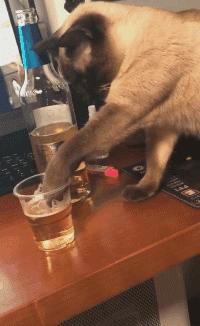 大叔刷百万礼物,大叔刷100万见网红