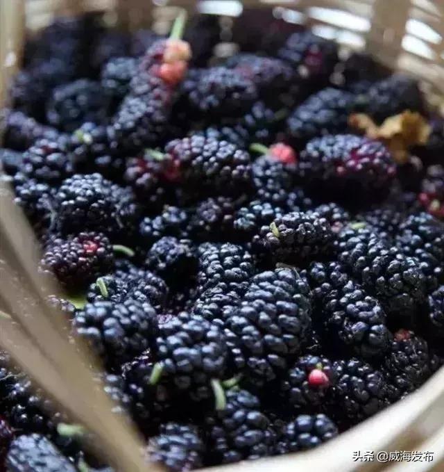 威海端午节去哪里旅游最合适,威海端午