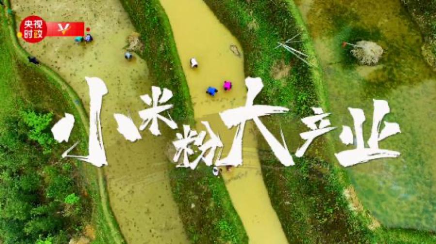 漂洋过海来见你广西螺蛳粉是这样走向世界的