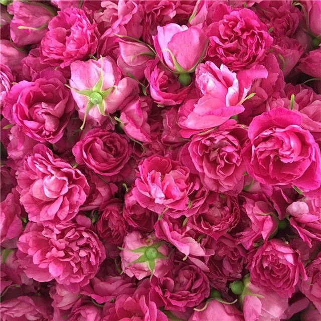 不用去云南也能吃到正宗鲜花饼了,没去过大理却吃到了大理鲜花饼