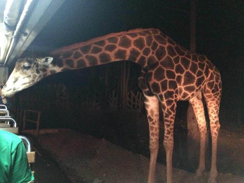 上海到清迈5日游,清迈5日4晚自由行