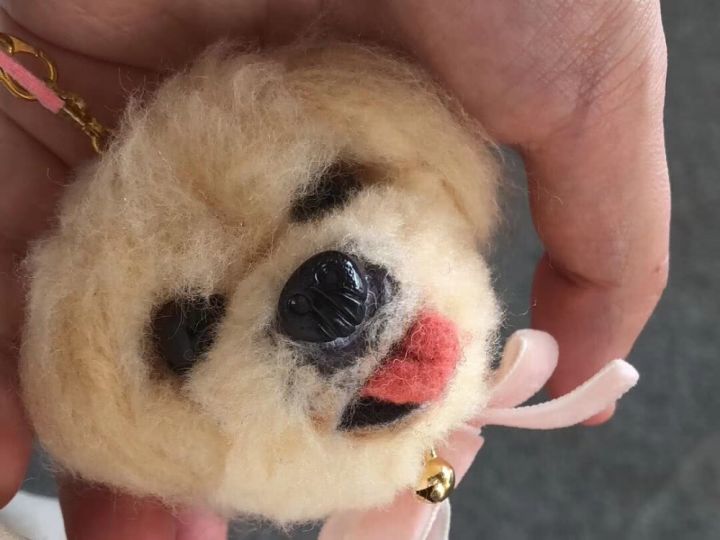 女子花25万元成功克隆宠物狗,女子花38万克隆去世的狗