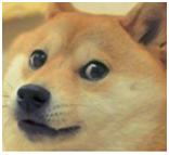 工银安盛鑫如意6号是骗人的吗,工银安盛鑫如意8号怎么样