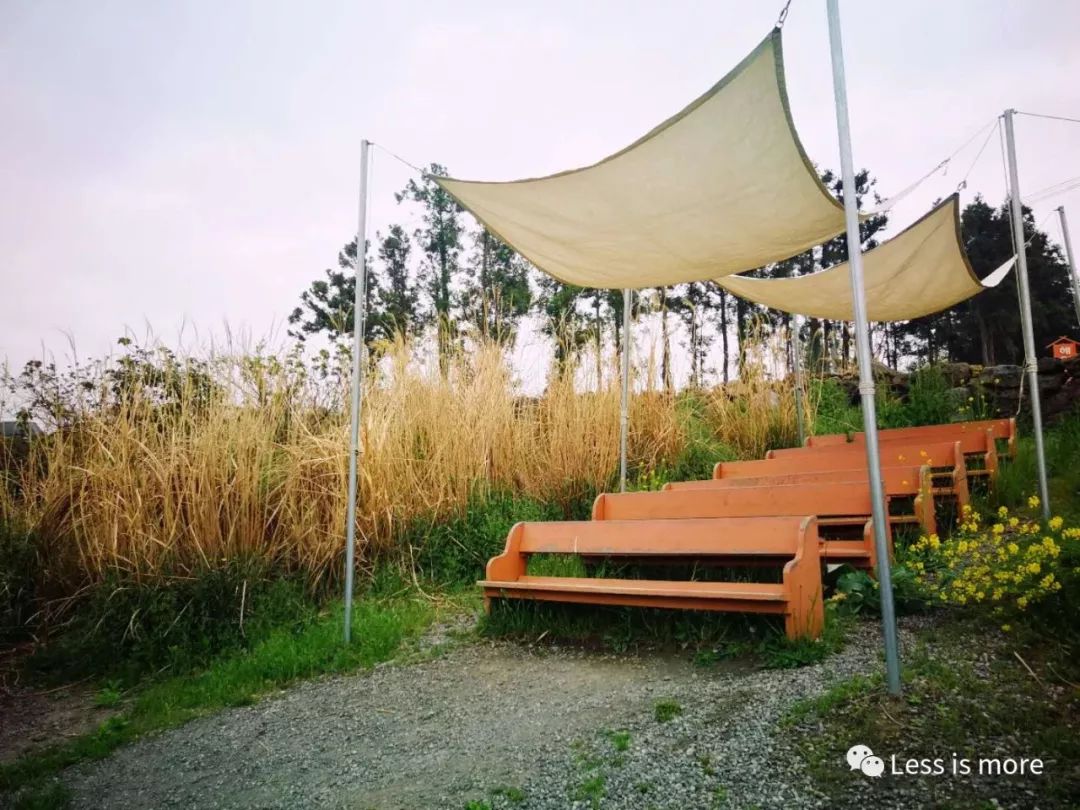 带你们看看济州岛的美景,济州岛路上的小风景