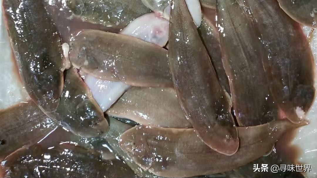 海鱼有哪些人工养殖不了的,不能人工养殖的海鱼市场上有哪些