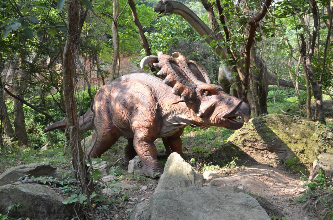 莲峰云雾山,仙溪云雾山