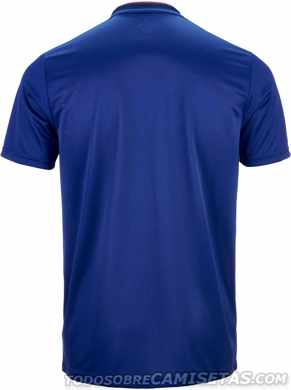 2019美洲杯国家队巴西球衣,2019年美洲杯参赛国家