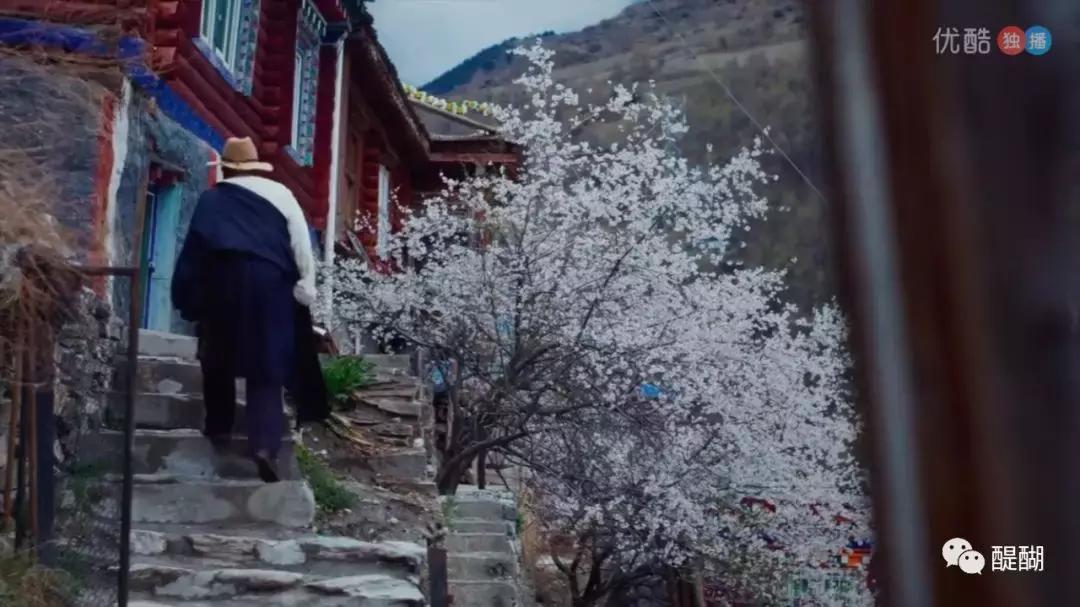 用一生的时间诠释爱,用一生的时间完整版