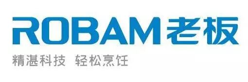 吸油烟机十大公认品牌家用,吸排油烟机哪个品牌比较经济实用