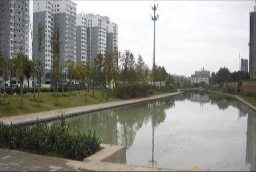 最近很火的开发商广告,揭露开发商打广告的秘密