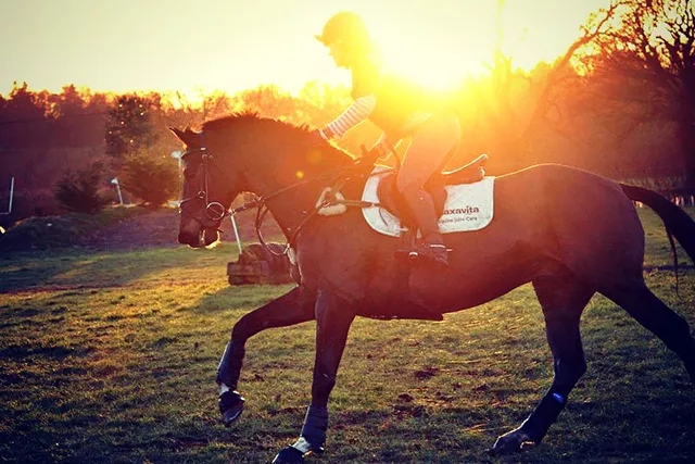 呼伦贝尔骑马体验,骑马什么体验