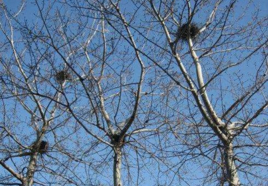 被记忆封尘的男人,一个真实的故事