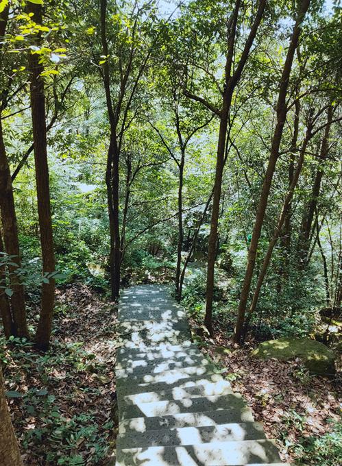 金华这座1.5亿高龄的山峰，浓翠蔽日，风清月朗，还有试胆石等你去挑战