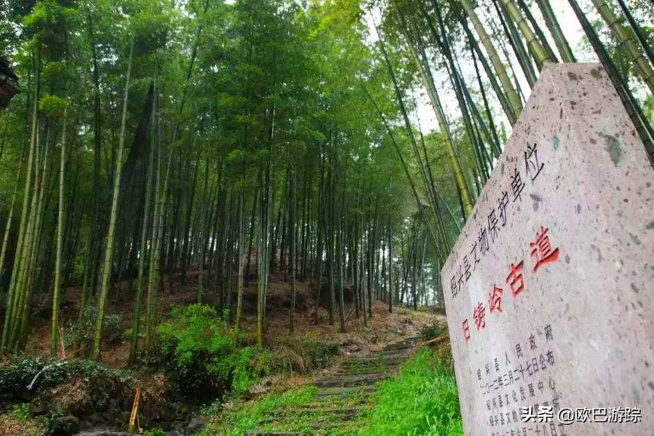 绍兴古道攻略一日游自由行,此生必去的三条国道