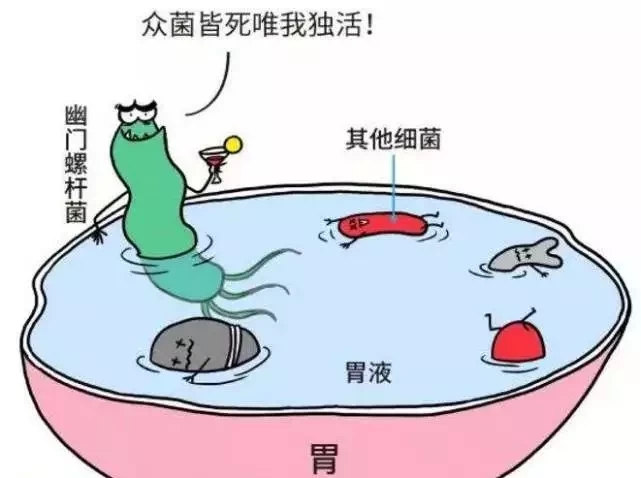 益生菌在儿科的临床应用,益生菌的十大功能