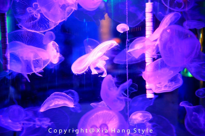 横店梦幻谷水世界有奥特曼,横店梦幻谷水世界摩天轮