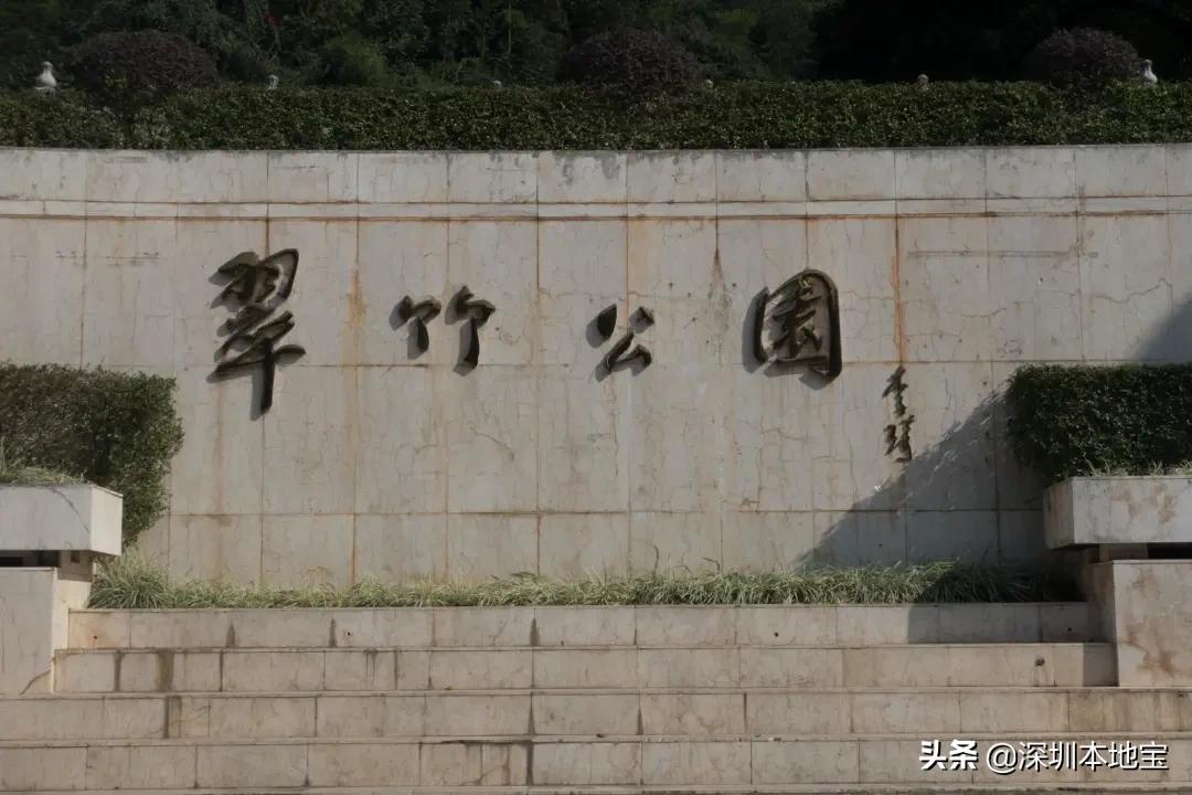 深圳有哪些地方免费景点,深圳都有什么景点免费游玩