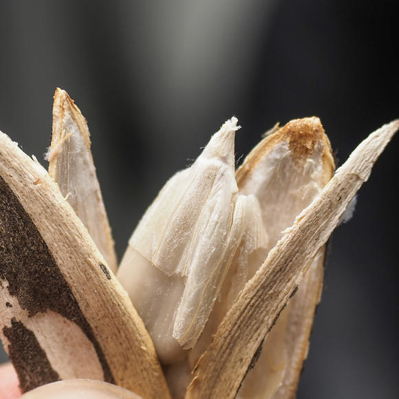 香氛8折，水果满减，金美孚79.8，年货囤起来「诺诺商城」