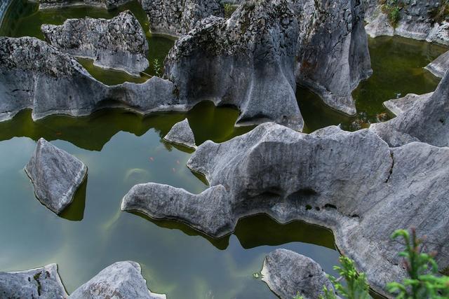 小平故里到华蓥山花海人家要多远,广安华蓥山小平故里