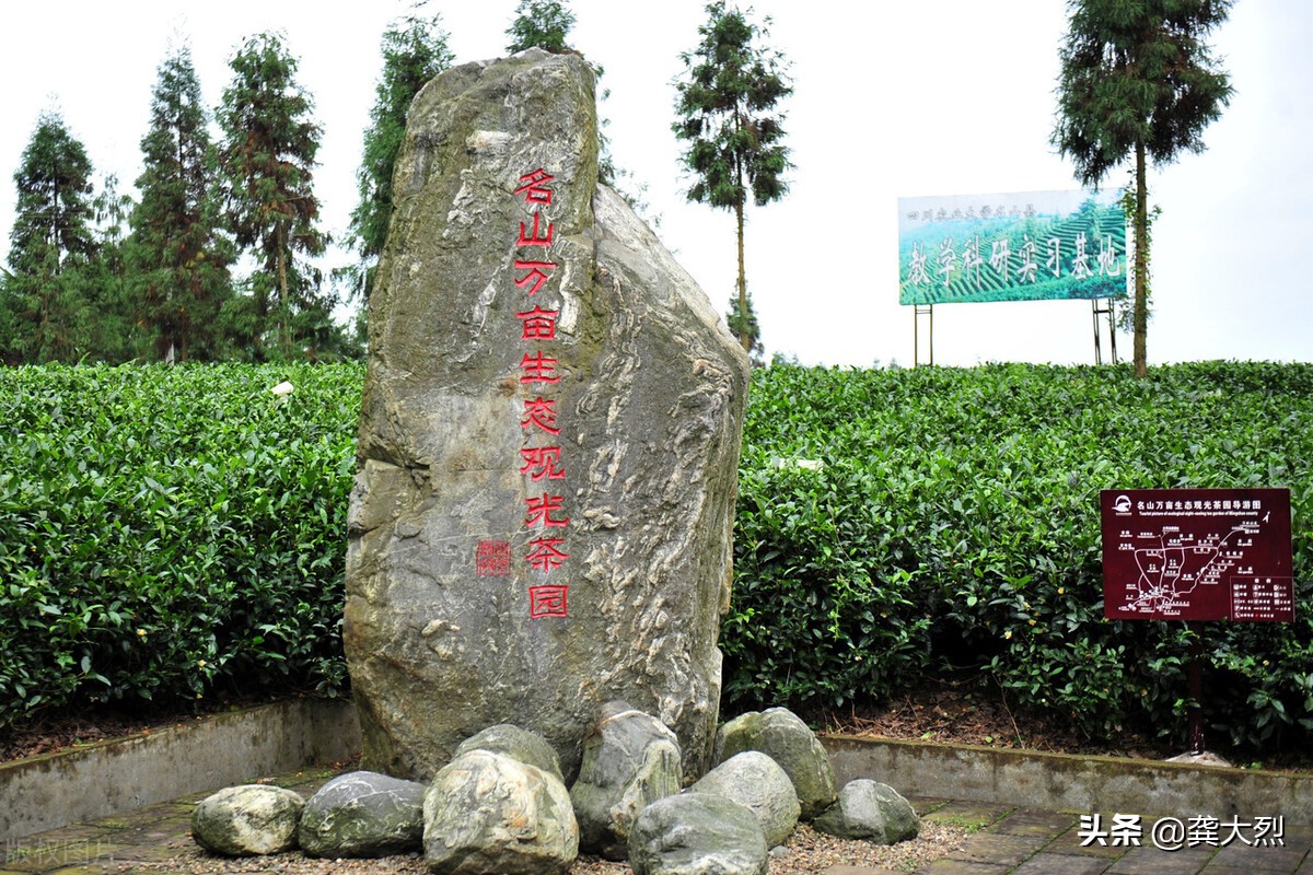 蒙顶山上茶的诗词,蒙顶山上茶什么意思