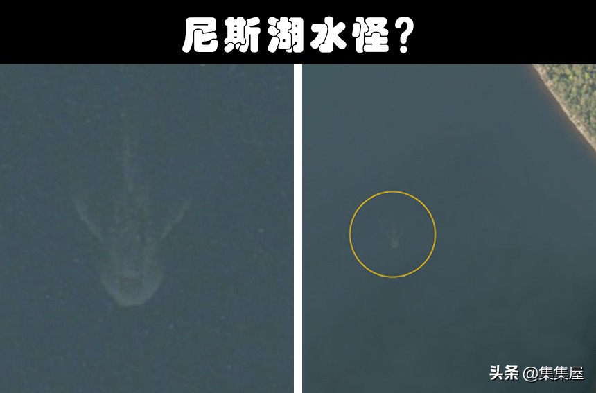 从谷歌地图上拍到的奇怪生物,在谷歌地图上发现的巨大怪异生物