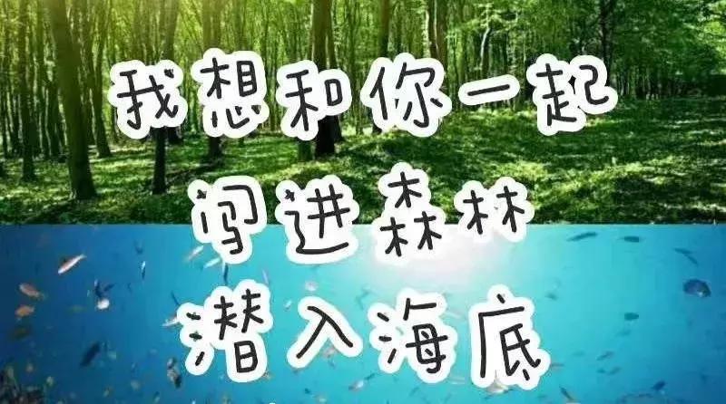 半藏森林新图片,半藏森林是谁