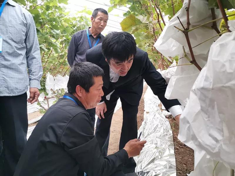 抢名额，19期中国无土栽培和土壤种植技术升级集成培训会