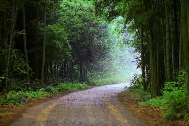 武汉周边哪个温泉最好,武汉周边泡温泉好去处