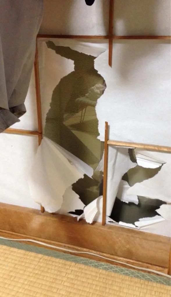 被猫咪不小心抓到该怎么教训猫,猫咪一直抓门可以教训一下吗