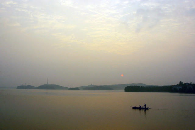 闽南鱼王500斤的大青鱼,中国淡水青鱼最大鱼王