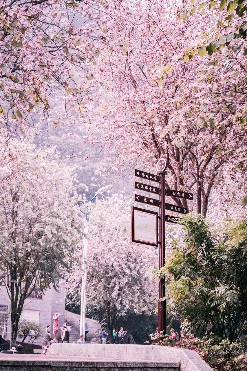 退休后就去国内旅游,退休后必去的100个景点