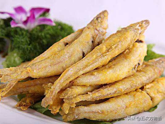 沙丁鱼的故事是真是假,沙丁鱼未解之谜是什么