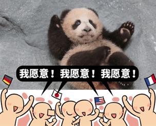 围观中国网红神兽羞羞视频，这是什么特殊爱好？