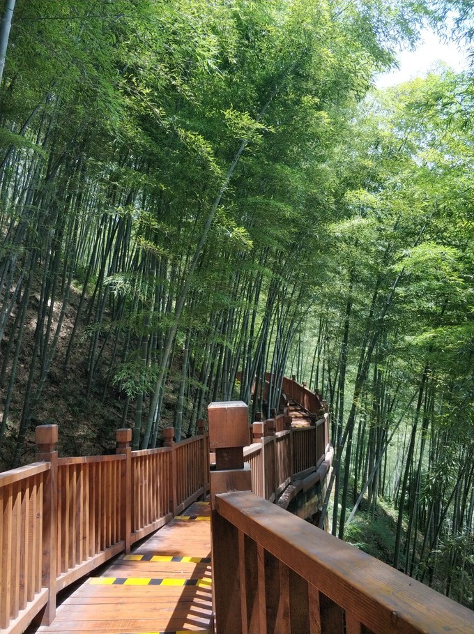 宜兴十大攻略,宜兴十大最美自驾游路线