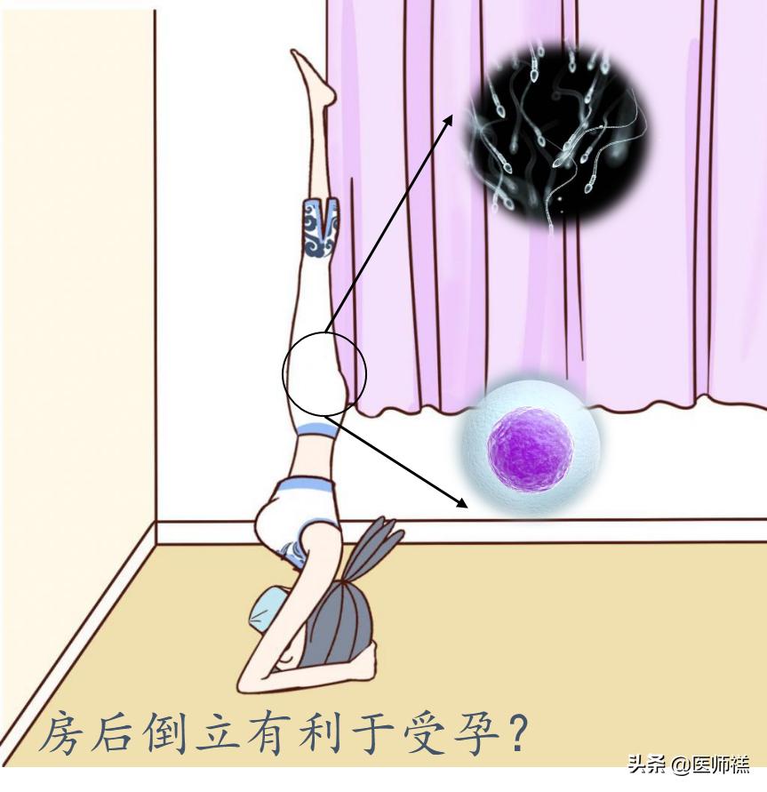 备孕期间要清醒！同房后倒立增加受孕率？尝试这些办法或许更高效