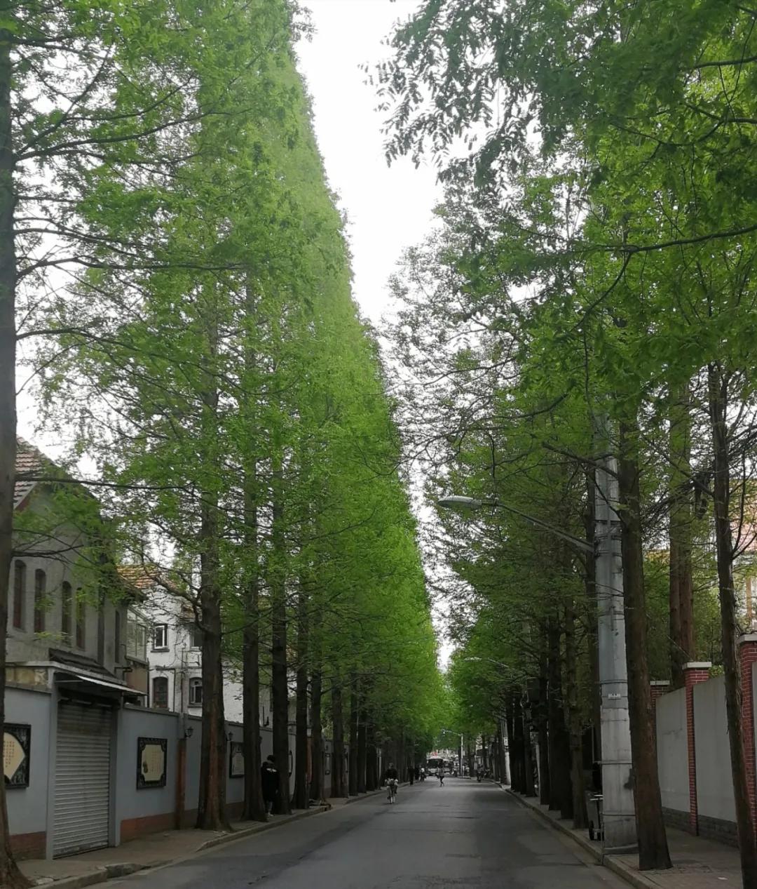 五一去上海有哪些好玩的地方,上海五一外滩风景