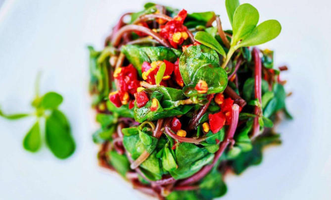 它是菜也是药，小小野草大功效，预防小儿腹泻，降脂瘦腰淡皱纹！