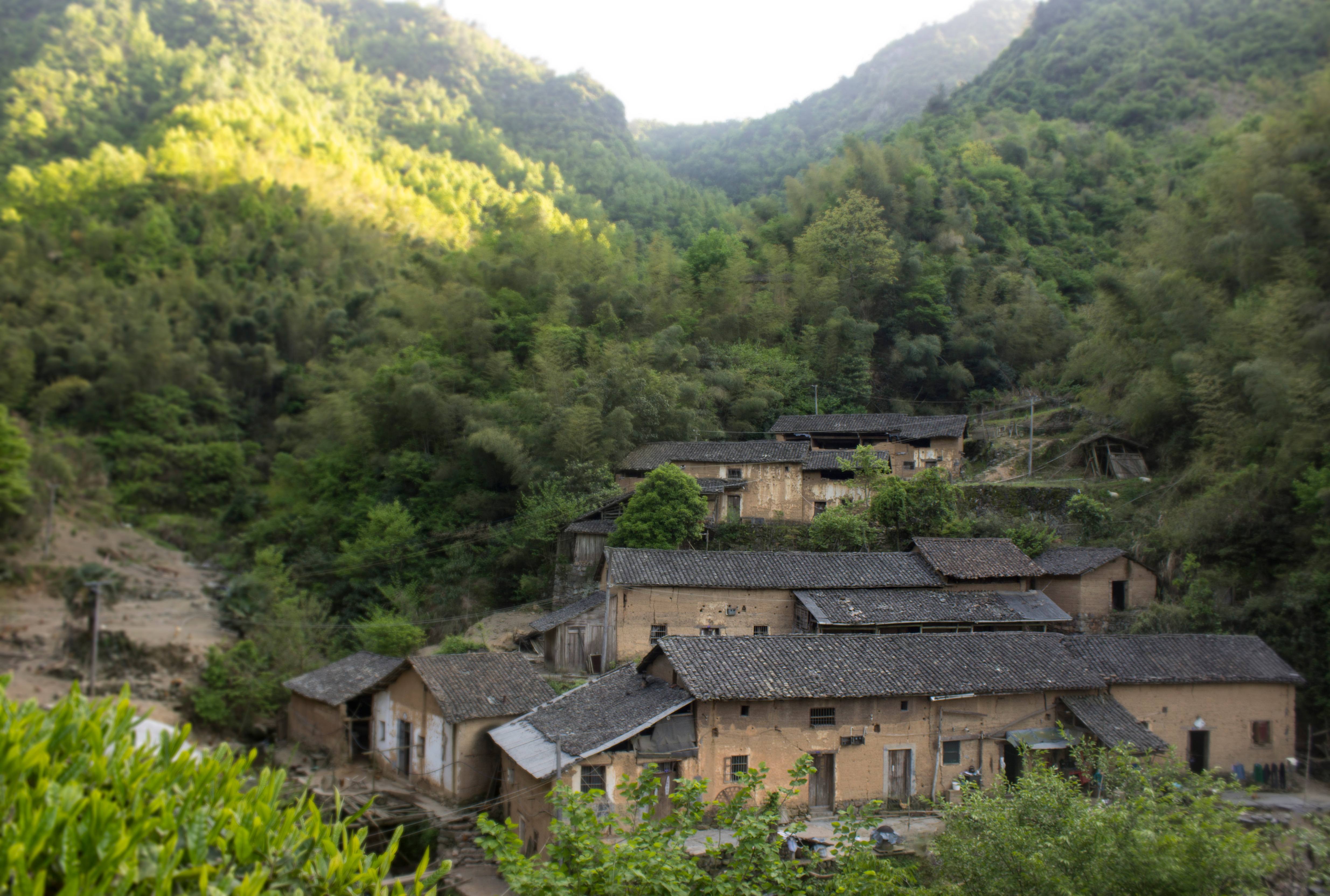 养殖2000只土鸡的成本与利润,养殖土鸡投资知识