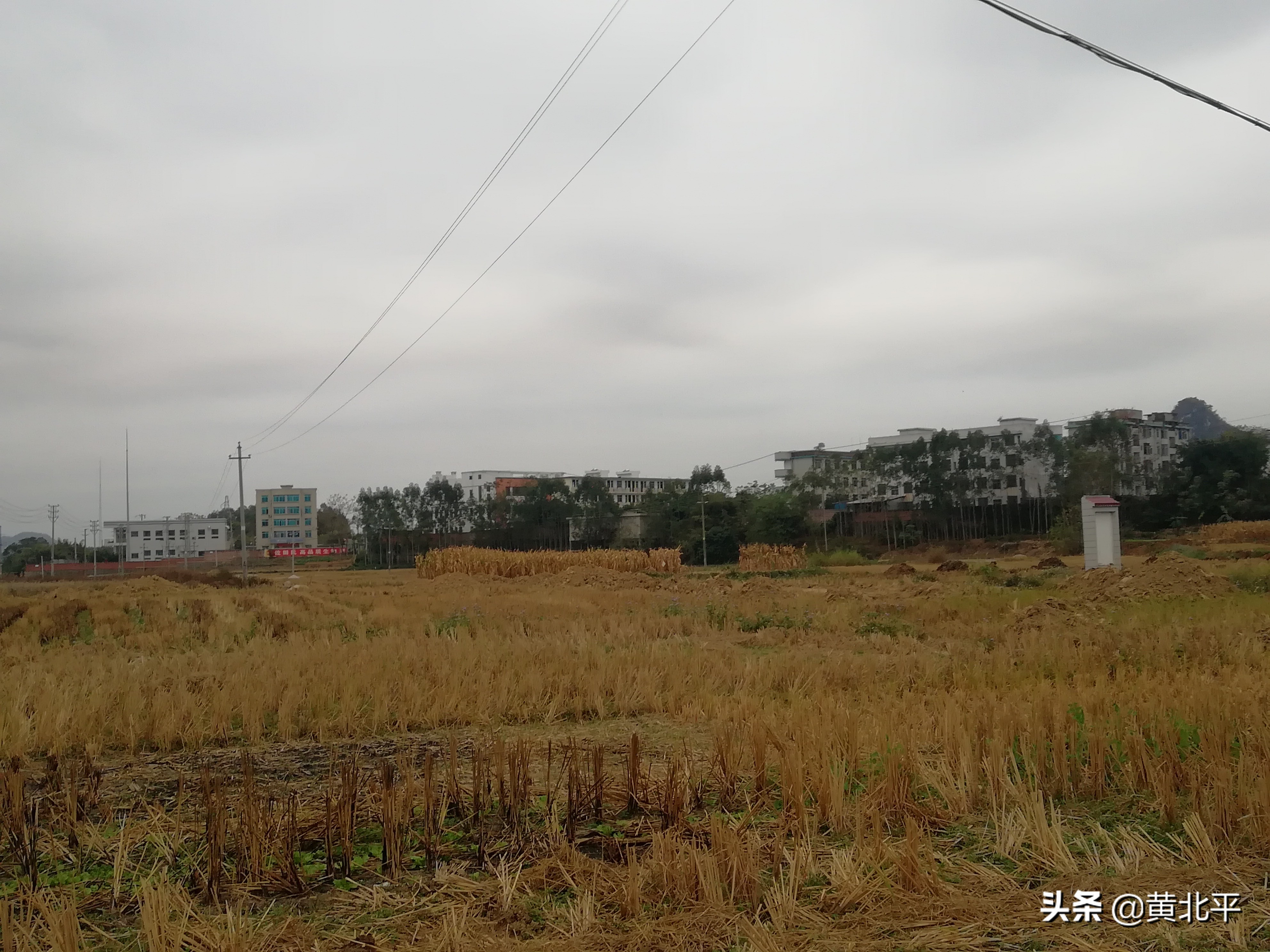 广西南宁市隆安县乔建镇龙扶村,广西南宁市隆安县乔建