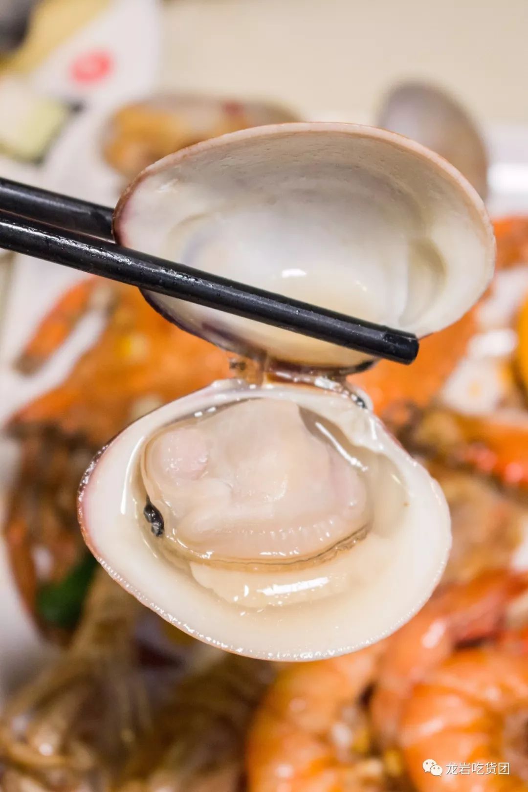 龙岩牛特火锅烤肉,龙岩自助烤肉哪一家好吃