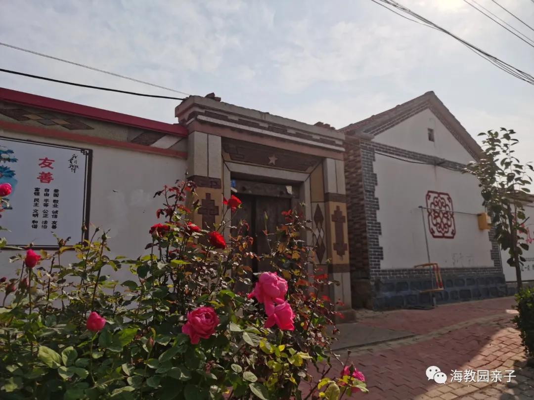 秋日好时光冬枣采摘,带着愉悦的心情踏上了冬枣采摘园