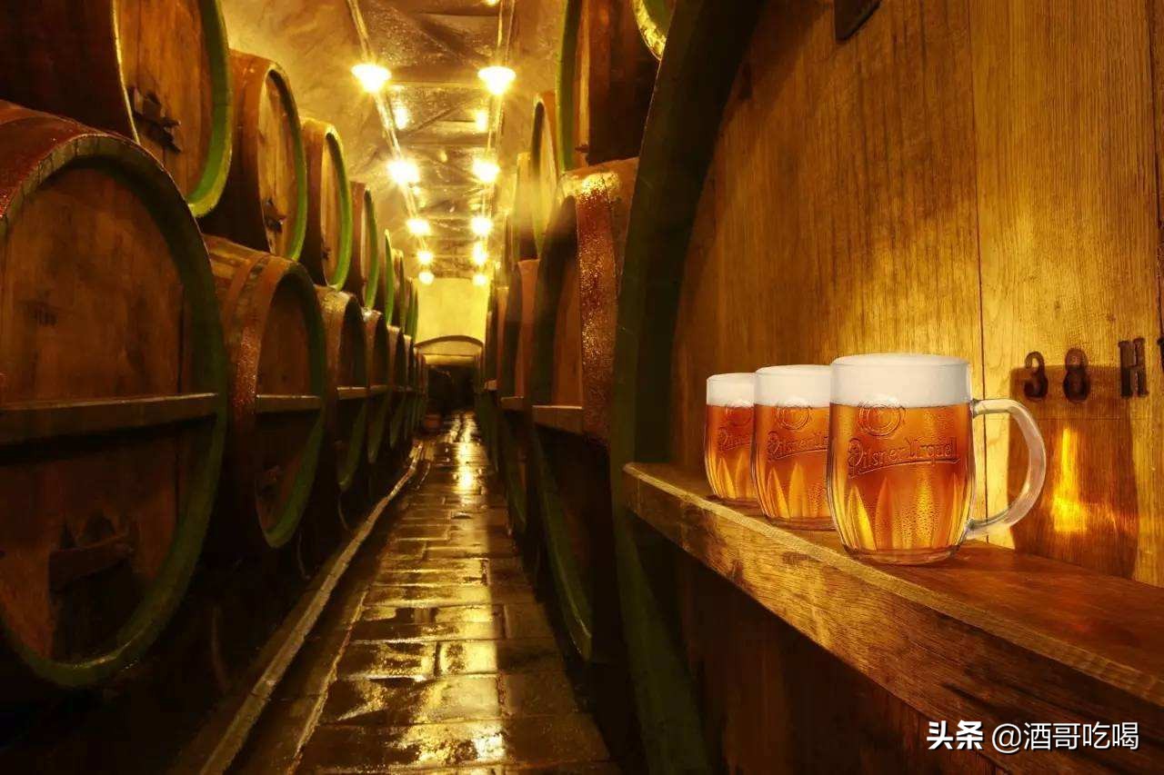 啤酒行业新手入门知识,啤酒入门基础知识