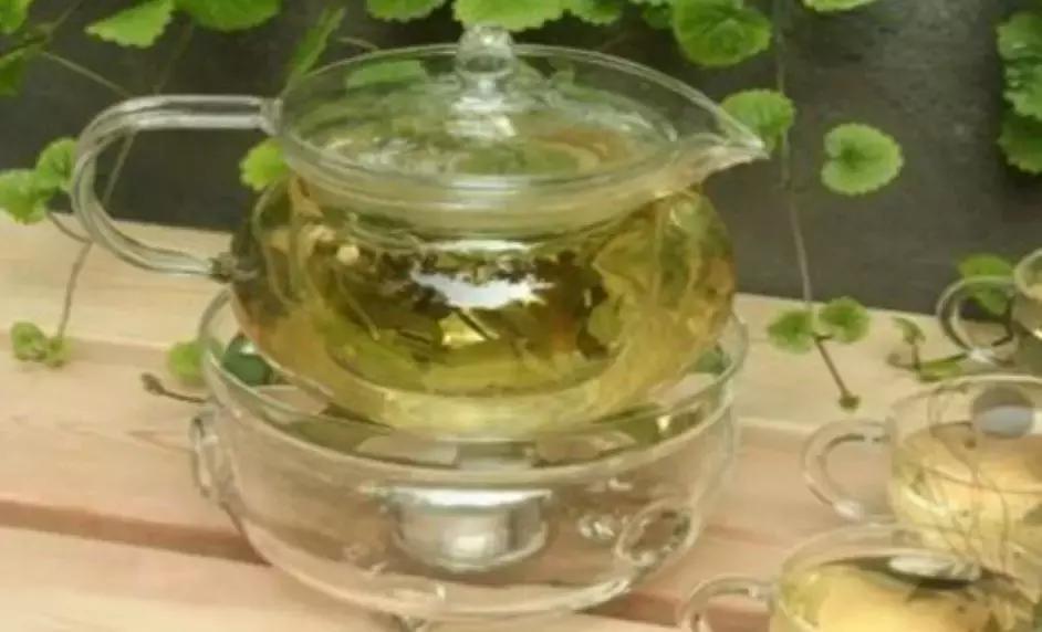 每天喝一杯罗布麻茶好不好,罗布麻茶能和降压药一起喝吗